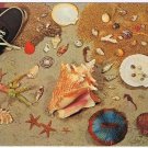Nature Postcard Shell Collection With Shoes