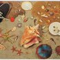 Nature Postcard Shell Collection With Shoes