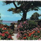 France Postcard Cote D'Azur French Riviera Flower Gardens