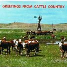 Nebraska Postcard Greetings From Cattle Country Windmill