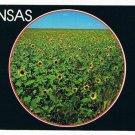 Kansas Postcard The Sunflower State