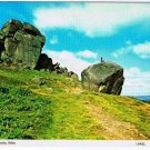 Ilkley Yorkshire England Postcard Cow and Calf Rocks