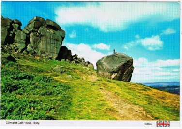 Ilkley Yorkshire England Postcard Cow and Calf Rocks
