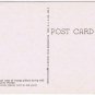 Florida Postcard Orange Picking Time in Florida Curteich 1-DK667 1961Ladders