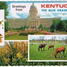 Kentucky Postcard Blue Grass State Multi View Horses