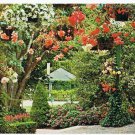 Victoria British Columbia Postcard Butchart Gardens Hanging Baskets
