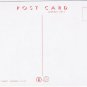 Postcard Animal Giant Panda Bear China