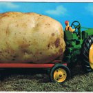 Postcard Potato On Toy Tractor Prince Edward Island PEI