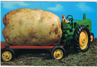 Postcard Potato On Toy Tractor Prince Edward Island PEI