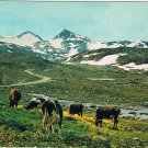 Postcard Norge Jotunheimen Lom Norway