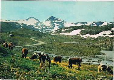 Postcard Norge Jotunheimen Lom Norway