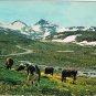 Postcard Norge Jotunheimen Lom Norway