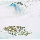 Postcard Norge Norway Reindeer In The Mountain