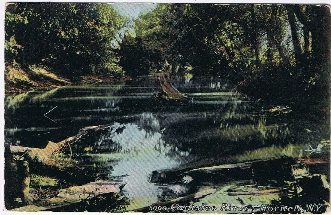 Postcard Canisteo River Hornell New York Baker Bros