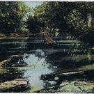 Postcard Canisteo River Hornell New York Baker Bros