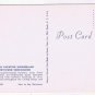 Advertising Postcard Greyhound Scenicruiser Through Vacation Wonderland