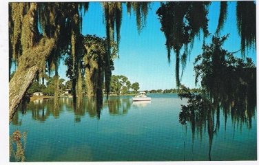 Florida Postcard Cruising Tranquil Scenic Waterways