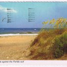 Florida Postcard Sea Oats Against Florida Surf
