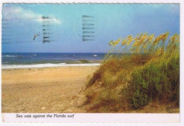 Florida Postcard Sea Oats Against Florida Surf