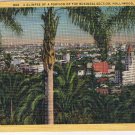 California Postcard Hollywood Business Section Tropical Palms