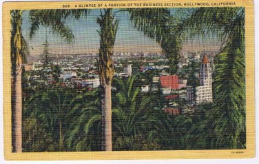 California Postcard Hollywood Business Section Tropical Palms