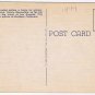 California Postcard Hollywood Business Section Tropical Palms