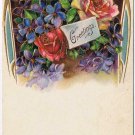 Greeting Postcard Embossed Roses & Violets 1908 Germany