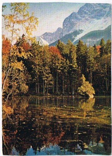 Germany Postcard Autumn Herbst am Badersee bel Grainau