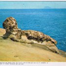Postcard Sea Turtle Taiwan