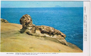Postcard Sea Turtle Taiwan