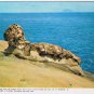 Postcard Sea Turtle Taiwan