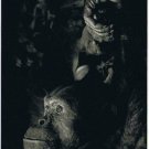 Ireland Postcard Contemplation Chimpanzee 2017 Wildlife Photographer Of The Year