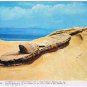 Postcard Goddess Slipper Taiwan