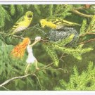 Postcard Elsa Beskow-Kort Nr 28 Alvan Och Faglarna
