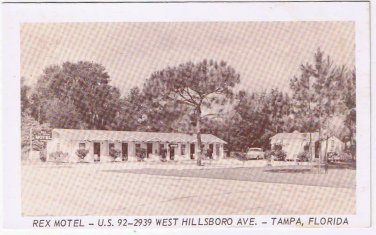 Florida Postcard Tampa Rex Motel