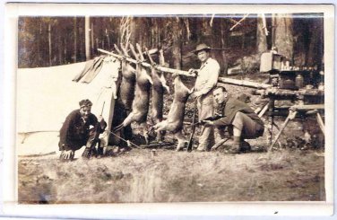 Hunting Postcard RPPC Hunting Camp 3 Men & 4 Deer Tent