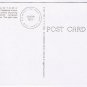 Postcard Haleakala Silversword Central Bloomimg Stalk Hawaii