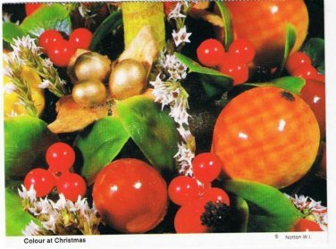 Yorkshire England Postcard Notton Colour at Christmas