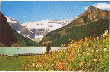 Postcard Lake Louise Mt Lefroy Victoria Glacier Iceland Poppies Banff Alberta