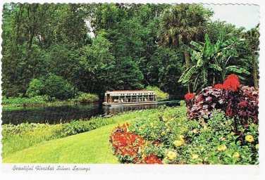 Florida Postcard Cypress Point Silver Springs Glass Bottom Boats
