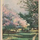 Postcard The Path Facsimile Hand Colored Nature Cards