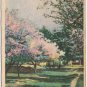 Postcard The Path Facsimile Hand Colored Nature Cards