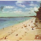 Florida Postcard St Petersburg Pass-A-Grille Beach