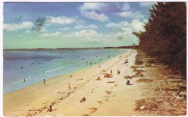 Florida Postcard St Petersburg Pass-A-Grille Beach