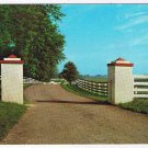 Kentucky Postcard Lexington Calumet Farm Main Entrance