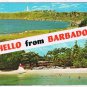 Barbados Caribbean Postcard Whitehaven St Philip Royal Yacht Club St Michael