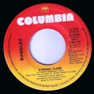 Bangles Eternal Flame 45 rpm What I Mean To Say Canadian Pressing