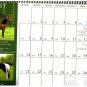 Horse Calendar The Stallion Calendar 12 Beautiful Breeding Horses Studs 2011
