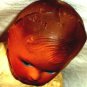 Antique Old Doll Straw Filled Body Molded Stapled Plastic Head Moveable Limbs