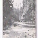 British Columbia BC Postcard Capilano Suspension Bridge Trading Post Ad
